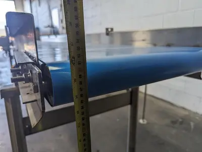 Custom 10' Conveyor with Removable Packaging Tables