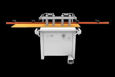 NEW MAGGI PRESTIGE 21
