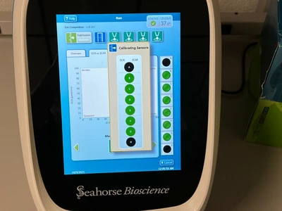 USED Seahorse Agilent XFp