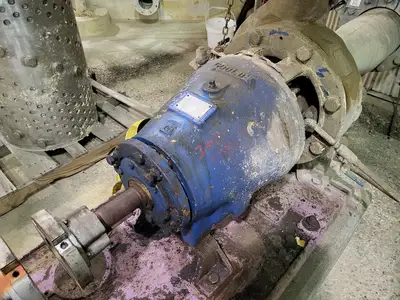 USED GOULDS 3175S