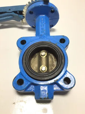 Watts Reg Steam 2.5″ Specialty Butterfly Valve