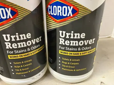 Clorox Urine Remover