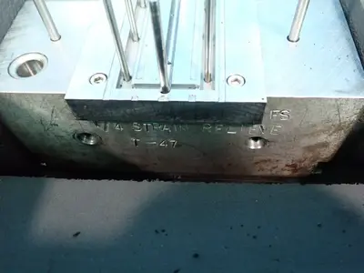 Plastic Injection Mold - W3796