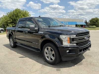 Used 2019 FORD F150 Pickup Trucks Michigan US | Miedema Asset Management Group #1324236