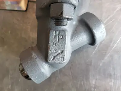 1/2" Class 900 Y-Pattern Check Valve B16.34