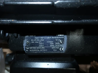 Used BRINKMANN SBC1120-Z-002, SBC1120-56X2*896 Pumps Ohio US | Aucto #1427271