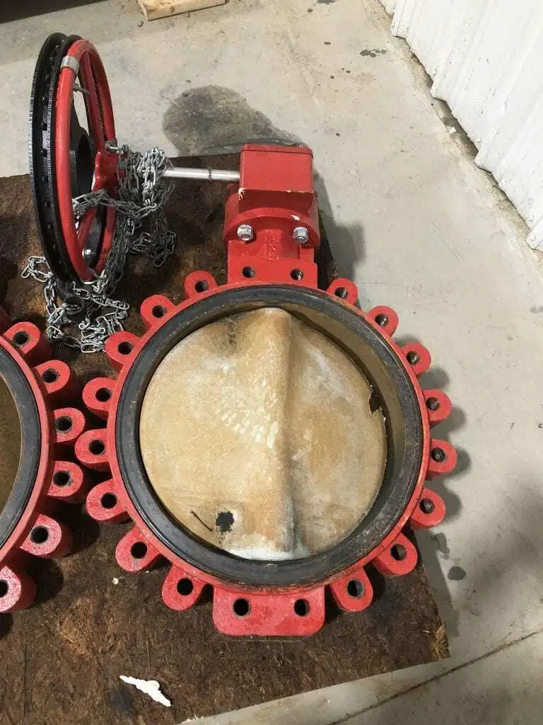 Bray 04-800 20″ Manual CS 20-Lug Butterfly Valve w/ Approx. 20ft Chain
