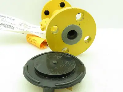 SWI A105N Steel Gate Check Valve 1" Flanged Raised Face Class 300# Monel Spiral