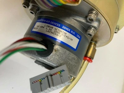 USED Guzik 76876867867867867