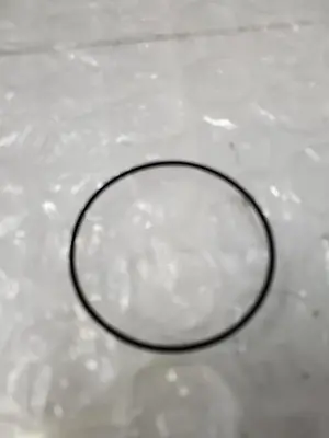 NEW O RING 007743 001