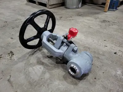 2" Class 900 Globe Valve B16.34