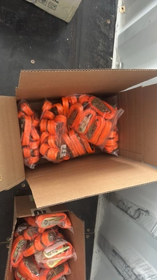 BIND BELT	SDLANCH	2025	Unused	SDLBB