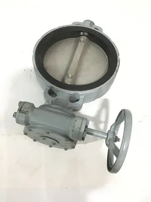 Tomoe T00E-2S-300A 12″Gear-Operated Butterfly Valve