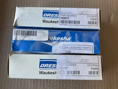 Waukesha Intake Valve PN 350972