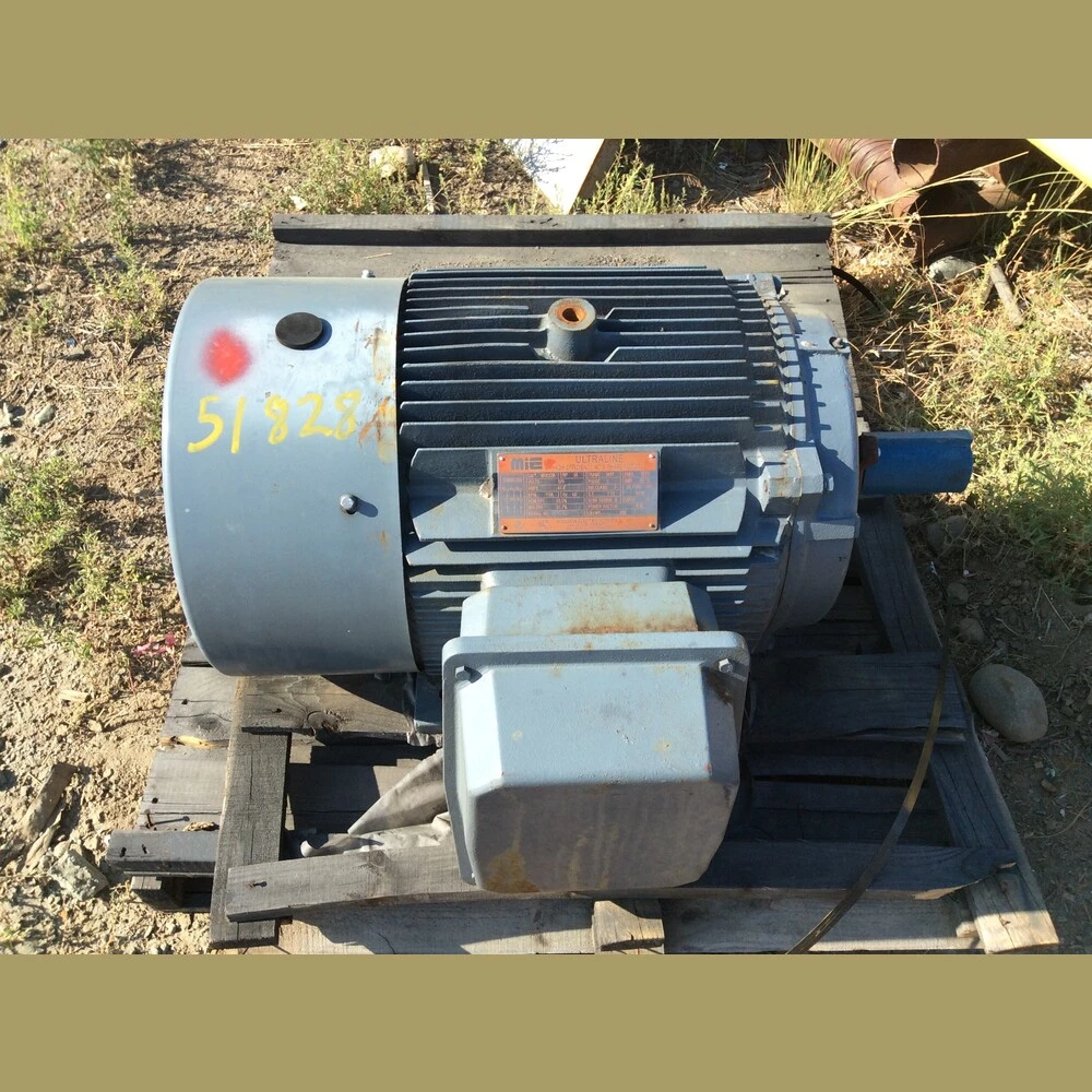 Ultraline 50 HP Electric Motor