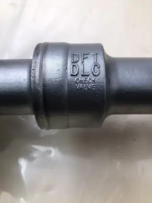 DFT DLC 1″ 316 Stainless Steel Class 300 Check Valve CF8M-NIB