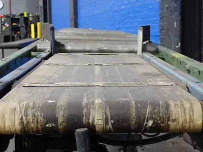 Buschman 116" X 20" Belt Conveyor