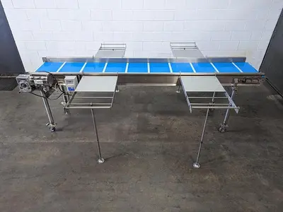 Custom 10' Conveyor with Removable Packaging Tables