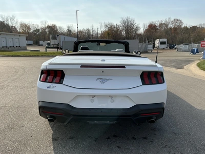 Used 2024 FORD MUSTANG Cars Michigan US | Miedema Asset Management Group #1579884
