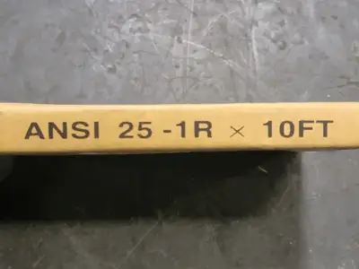 Roller Chain ANSI 25-1R X 10FT
