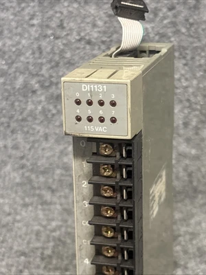 Used Modico DI-1131-000 PLC Input & Output California US | Davliegogo LLC #1705886