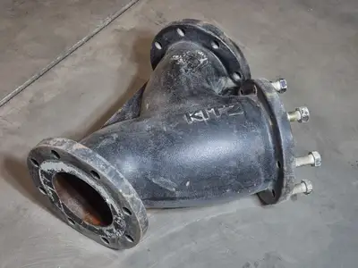 6" 125S 200 WOG Wye Strainer