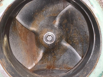 USED Goulds 3175