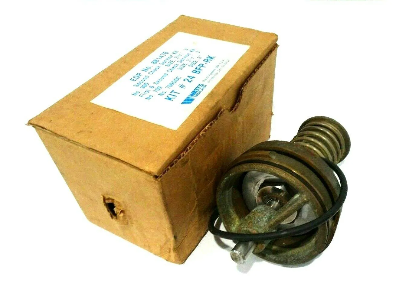 NEW WATTS BFP-RK SECOND CHECK SERVICE KIT #24 881476 BFPRK