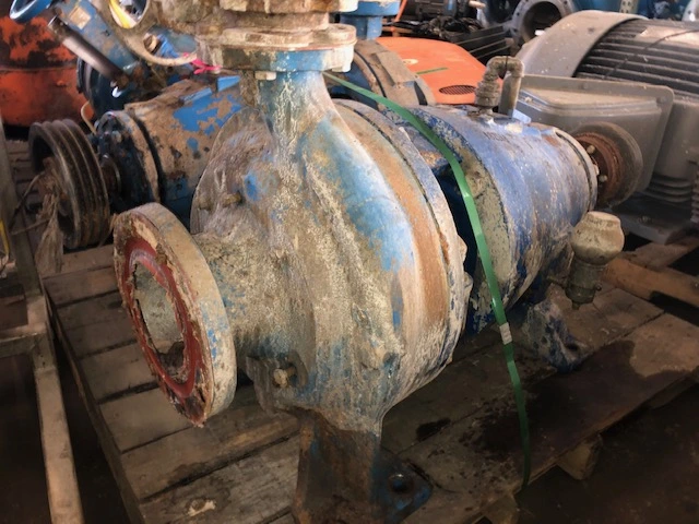 USED Goulds 3175
