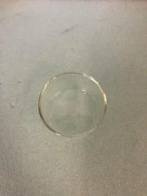 VWR 190 X 100 AND PYREX 70X50