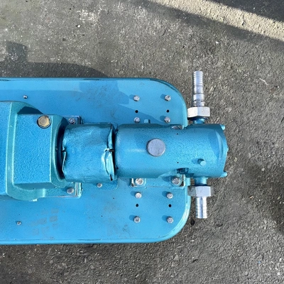 25Lpm SSP S/S Lobe Pump