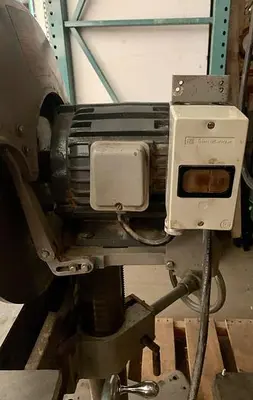 USED ELEPHANT DS-20
