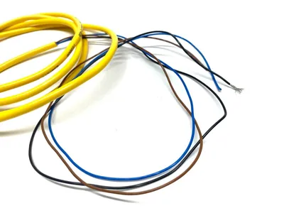 BCC050Y, BCC M313-0000-10-001-VX43T2-020 | Balluff BCC050Y Single Ended Cordset BCC M313-0000-10-001-VX43T2-020 - Used