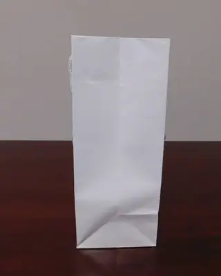 White Gloss 8" x 4" x 10" Gift Bags