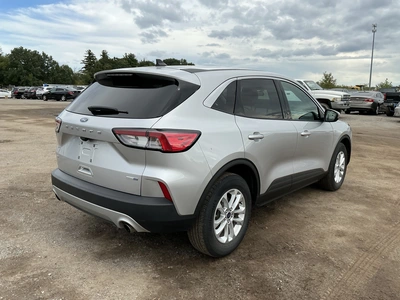 Used 2020 FORD ESCAPE SUVs Michigan US | Miedema Asset Management Group #1476843