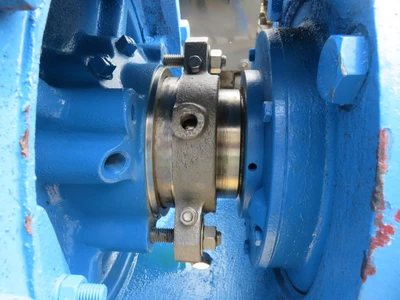 USED Goulds 3175