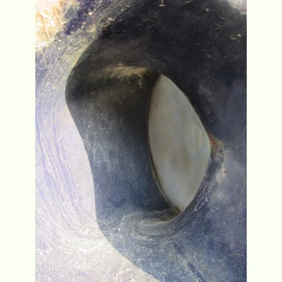 Orinnell 6in Pinch Valve