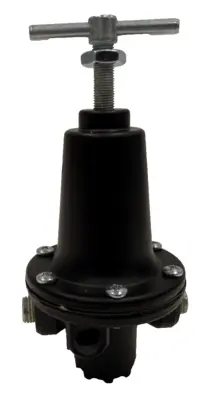 NEW PARKER R119-02C 1/4" REGULATOR R11902C