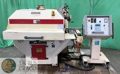 USED 2001 RAIMANN VARIORIP KM 310 BV GANG RIP SAW