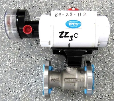 NEW FLOWSERVE 25M39WMS120-P-BC-T2456 CONTROL VALVE 25M39WMS120PBCT2456