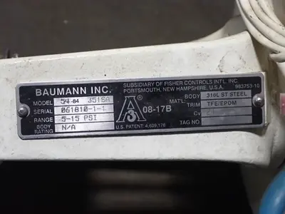 Used BAUMANN 5484351SA Pumps Ohio US | HGR 24 #738250