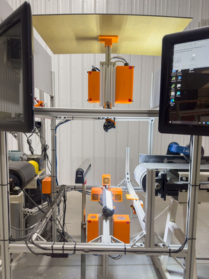 Tisfoon Optimizing Wood Scanner Defect Chop Saw and Sorting Line - 2020 Machine!