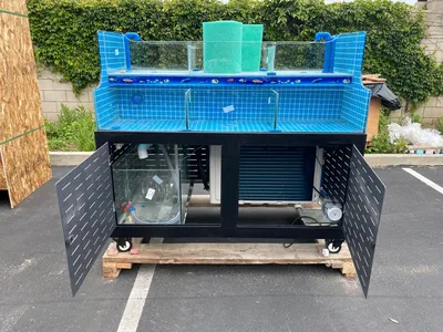 171-0318 60" Live Seafood Self Contained Display Tank Cooler