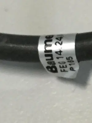 Used BAUMER ELECTRIC FEG 14.24/403858 Sensors Michigan US | Ideal Machinery #709184