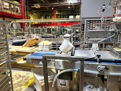 Used 2011 Koenig / Gostol Koenig / Gostol Bread Line Bakery Equipment New Jersey US | Harvest Equipment and Fabrication Inc #1295410