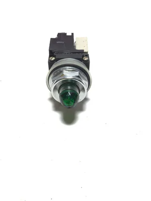 General Electric CR104D522 Oiltight Indicator Light