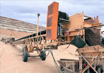 Conveyor, Belt, 115' L Grasshopper Conveyors in 36" and 42" Width, Offered in Multiples of 6 Conveyors, NOT Individually #5991382