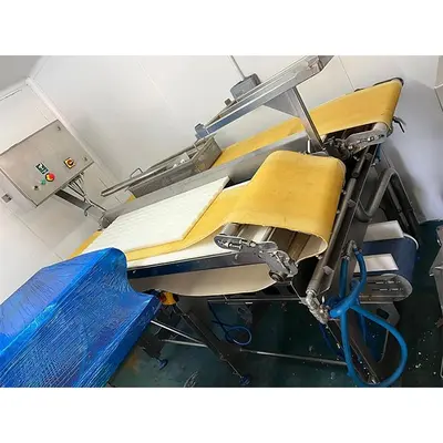 Used Marel _UNKNOWN_ Slicers / Dicers / Cutters | ISCA #1298929