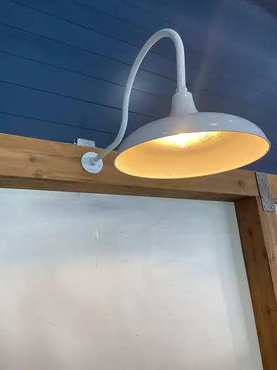 Millennium Lighting RMW-1 Light Outdoor/Indoor w/ 30” Gooseneck