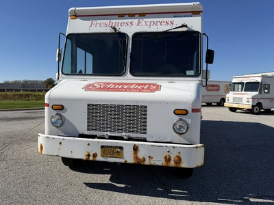 Used 2008 WORKHORSE ROUTE STAR DELIVERY TRUCK Box trucks Ohio US | Miedema Asset Management Group #1709422